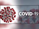 COVID-19 ảnh hưởng tới ngành công nghiệp bao bì như thế nào?