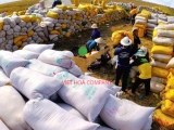 Xuất khẩu gạo Việt Nam liên tục đón tín hiệu vui