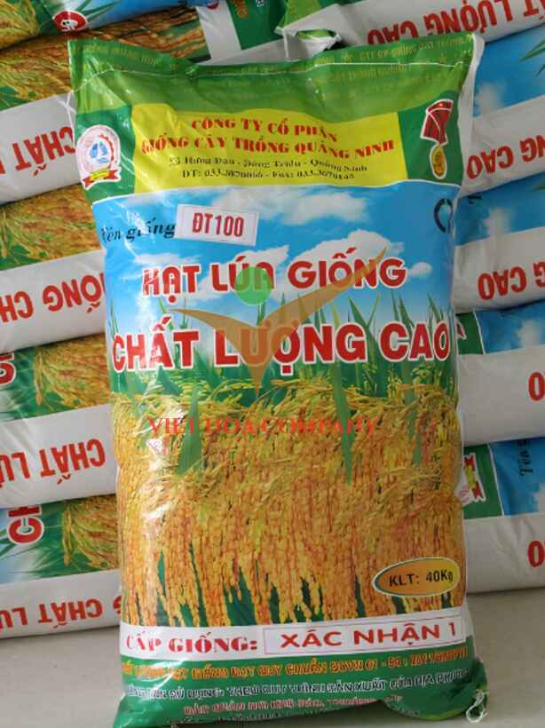 bao bì lúa giống