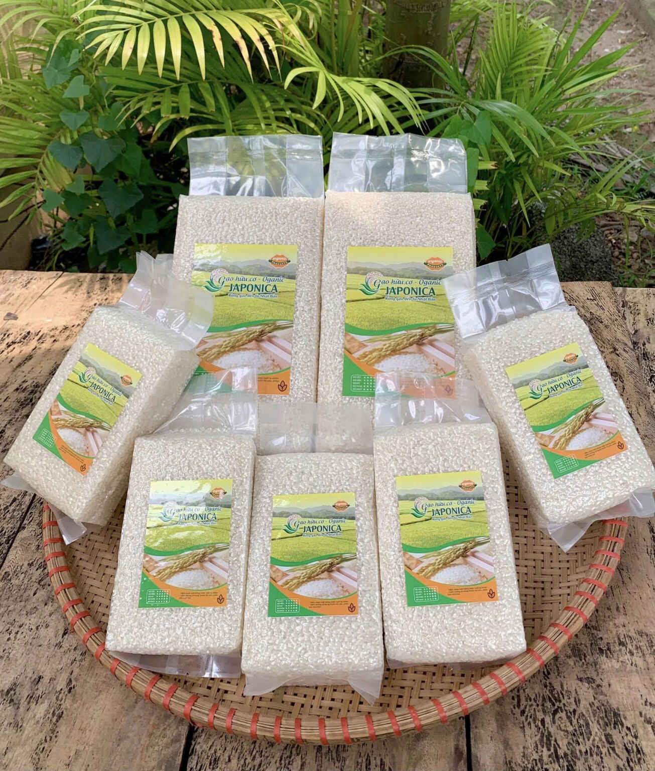 bao bì pp dệt bao bì pp dệt đựng gạo