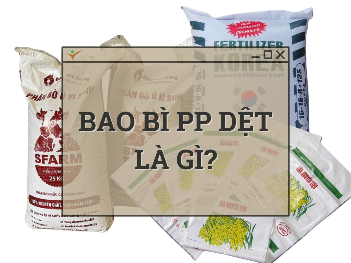 bao bì pp dệt