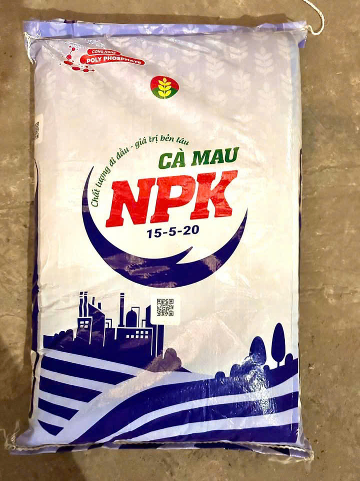 bao bì pp dệt