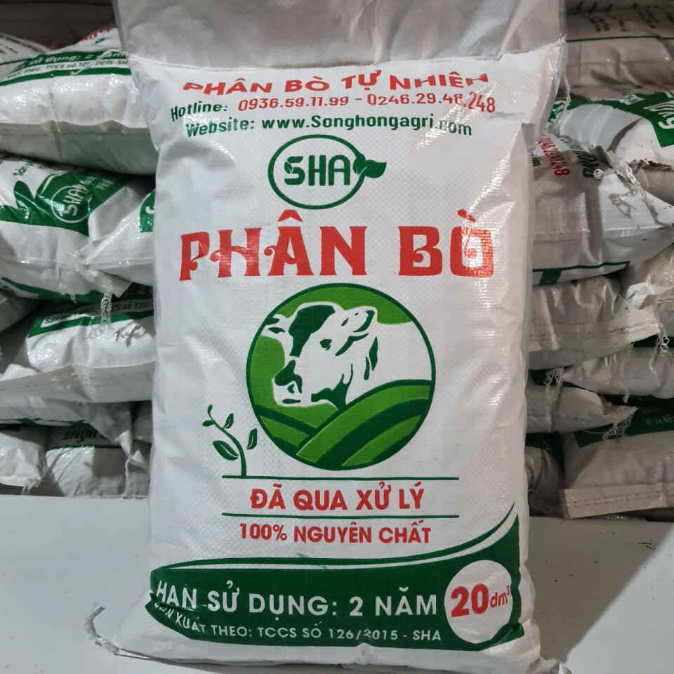 bao bì pp dệt